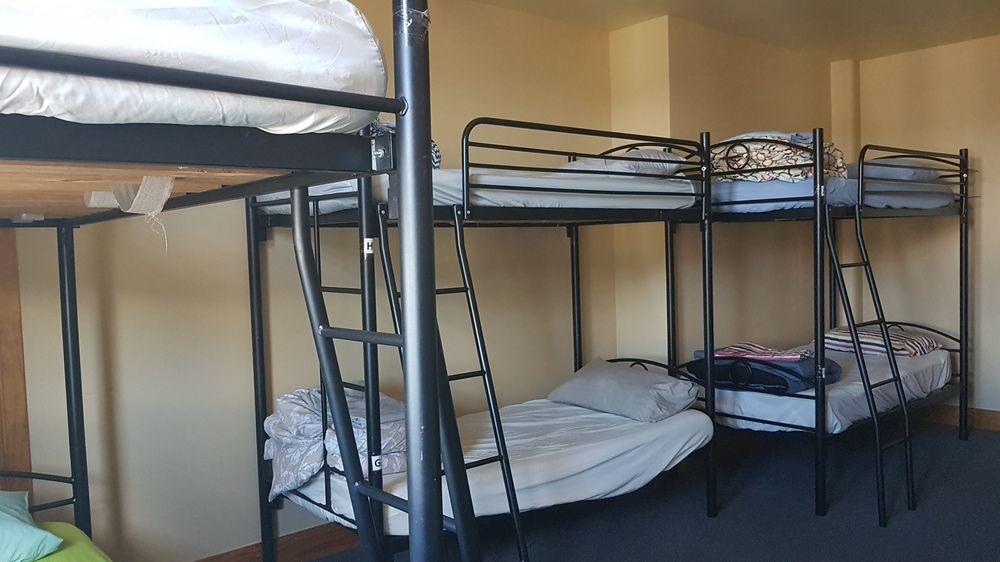 Wild Zebra Backpackers Hostel Wellington Kültér fotó